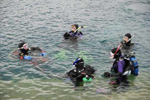 Groundhog Divers II Groundhog Divers II